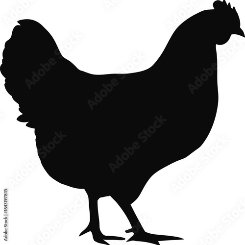 Chicken silhouette vector illustration of a farm bird icon