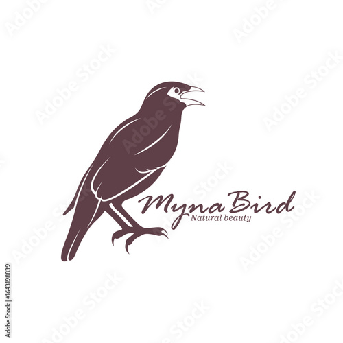 Myna Bird logo design vector. Silhouette Myna Bird Template Illustration