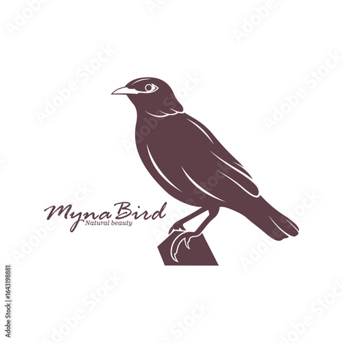 Myna Bird logo design vector. Silhouette Myna Bird Template Illustration