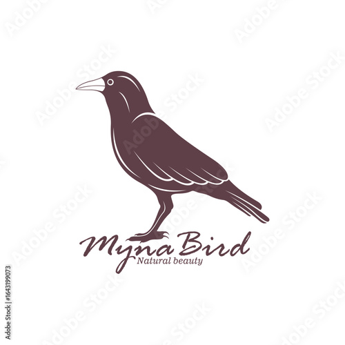 Myna Bird logo design vector. Silhouette Myna Bird Template Illustration