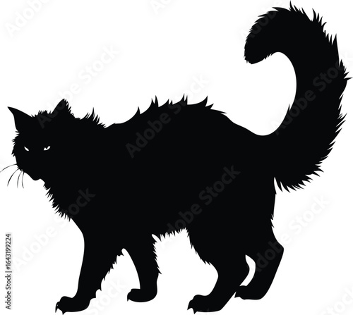 black cat vector illustration