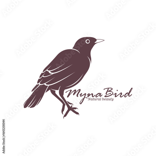 Myna Bird logo design vector. Silhouette Myna Bird Template Illustration