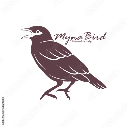 Myna Bird logo design vector. Silhouette Myna Bird Template Illustration