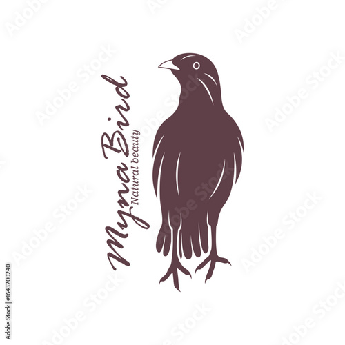 Myna Bird logo design vector. Silhouette Myna Bird Template Illustration