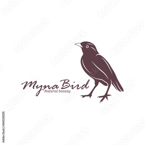 Myna Bird logo design vector. Silhouette Myna Bird Template Illustration