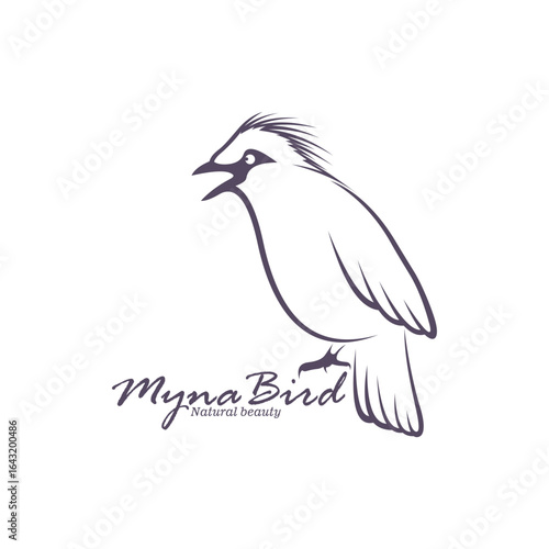 Bali Myna Bird logo design vector. Silhouette Myna Bird Template Illustration