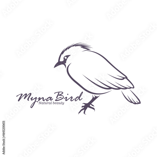 Bali Myna Bird logo design vector. Silhouette Myna Bird Template Illustration