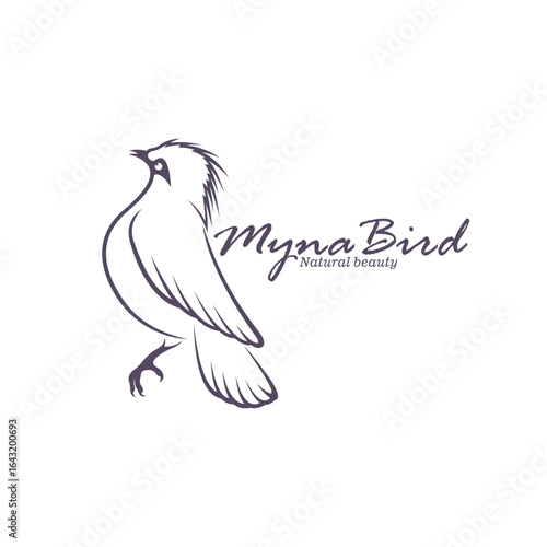 Bali Myna Bird logo design vector. Silhouette Myna Bird Template Illustration