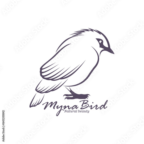 Bali Myna Bird logo design vector. Silhouette Myna Bird Template Illustration