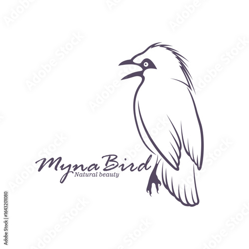 Bali Myna Bird logo design vector. Silhouette Myna Bird Template Illustration