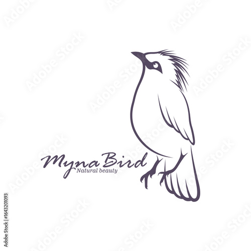Bali Myna Bird logo design vector. Silhouette Myna Bird Template Illustration