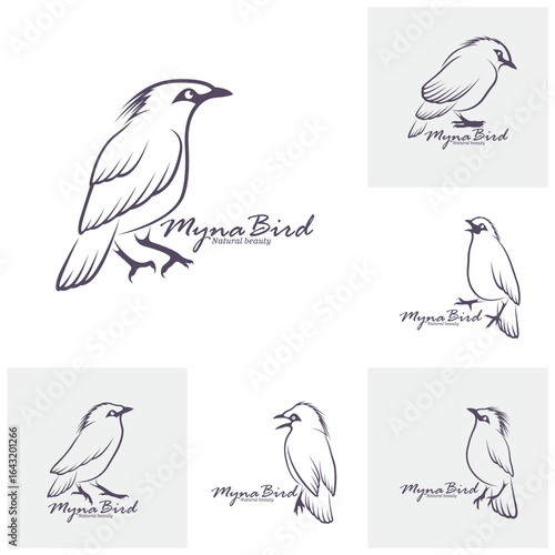 Set of Bali Myna Bird logo design vector. Silhouette Myna Bird Template Illustration