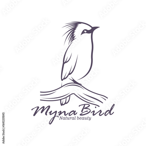 Bali Myna Bird logo design vector. Silhouette Myna Bird Template Illustration