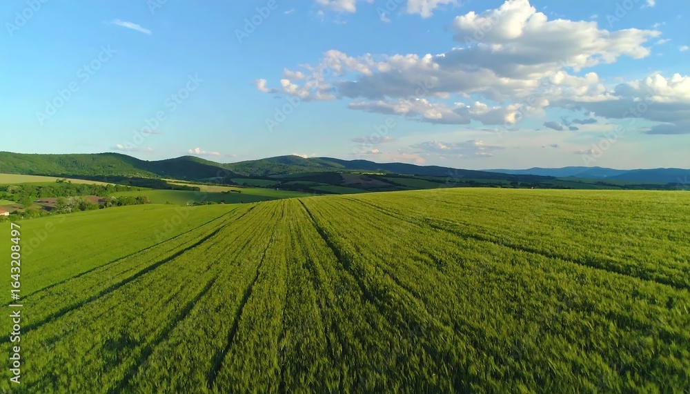 Fototapeta premium Expansive green field stretches to hills under a partly cloudy sky (1)