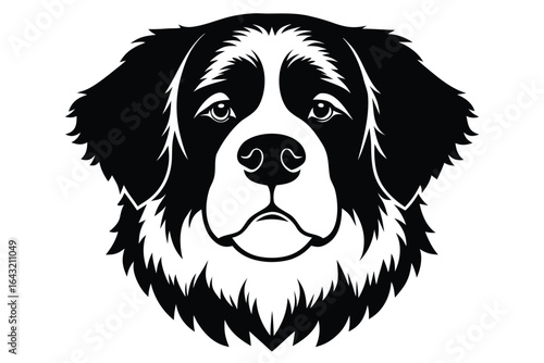 Majestic Bernese mountain dog face in solid black and white on white background
