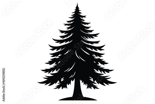Silhouette of a spruce tree shows its conical shape on a white backdrop perfectly