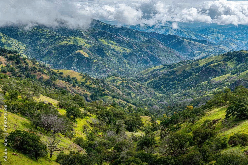 Fototapeta premium Mountainous valley, lush greenery, rolling hills