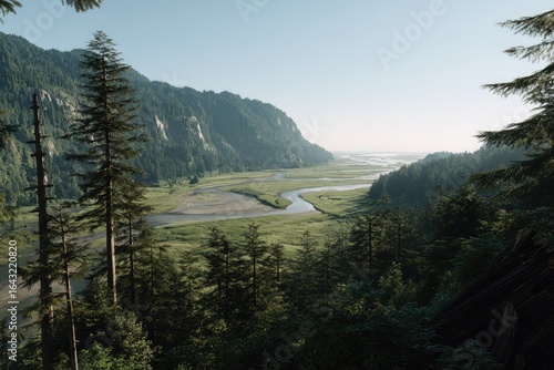 High-angle view of a winding river flowing through a valley, surrounded by lush, dark green forest and mountains