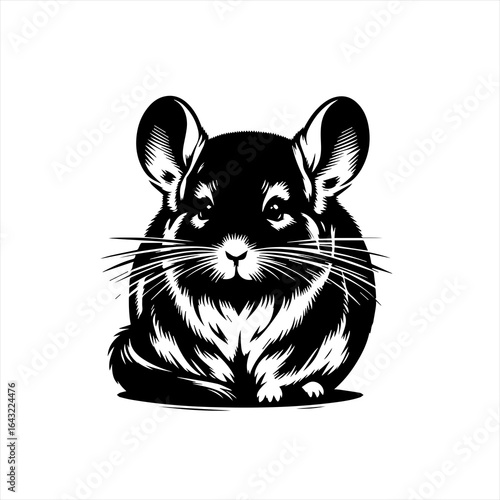 Black and white illustration of a cute chinchilla sitting