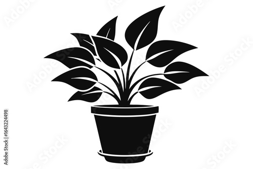 Potted plant featuring many broad leaves sits inside a simple pot on white