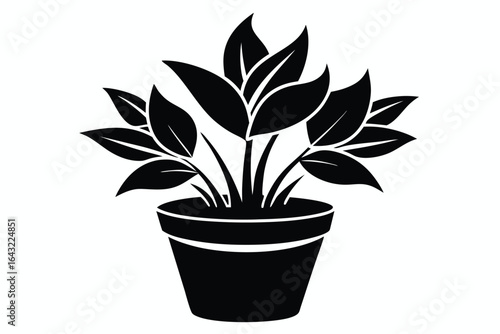Potted houseplant silhouette has vibrant broad leaves in a decorated round container against white