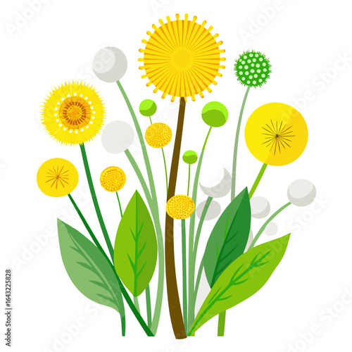 Stylized Vector Composition of Multiple Dandelions in Various Growth Stages on White Background