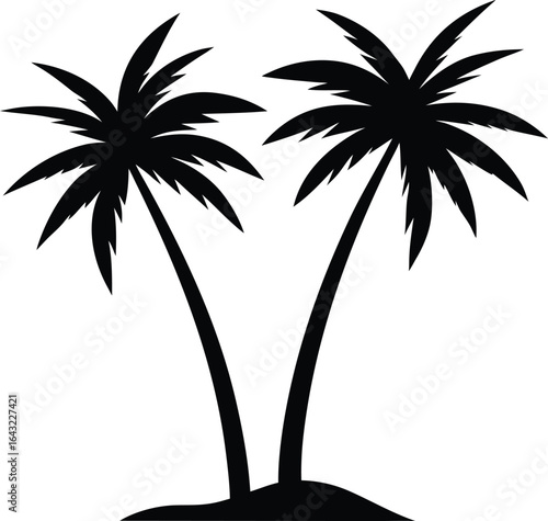 silhouette of palm tree