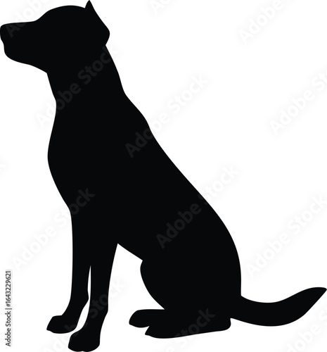 silhouette of a Dog