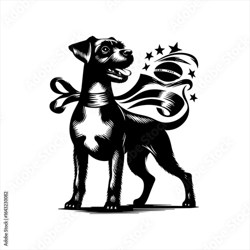 Black dog with a cape and brazilian flag elements