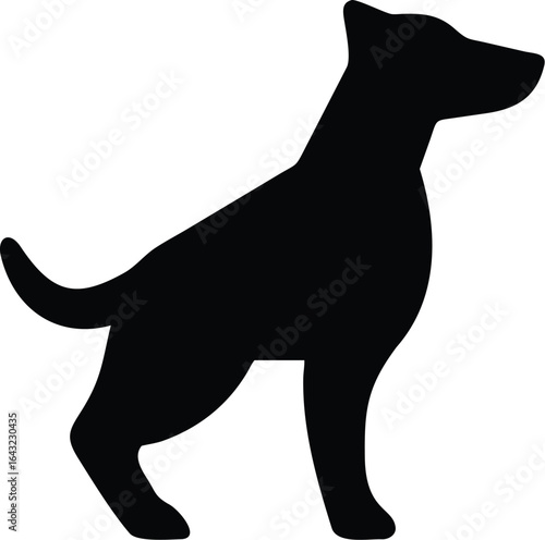 silhouette of a Dog