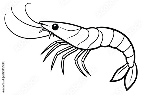 Detailed black line art showcases a stylized shrimp against a clean white backdrop