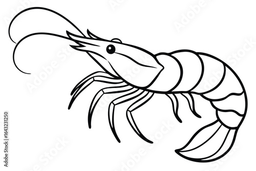 Detailed black line art showcases a stylized shrimp against a clean white backdrop