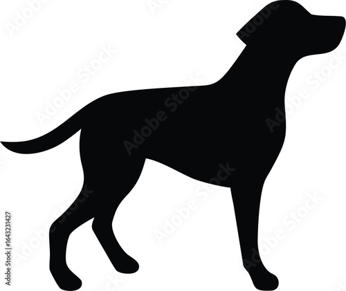 silhouette of a Dog