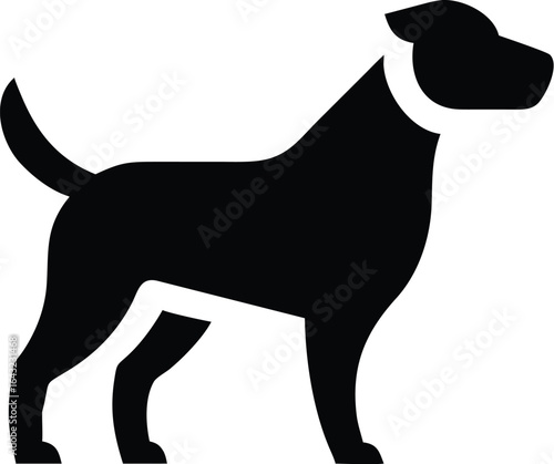 silhouette of a Dog
