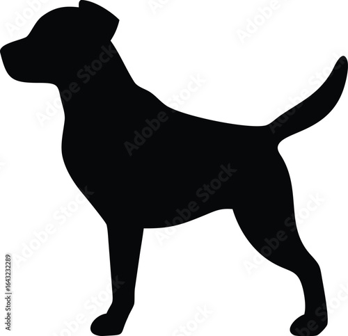 silhouette of a Dog