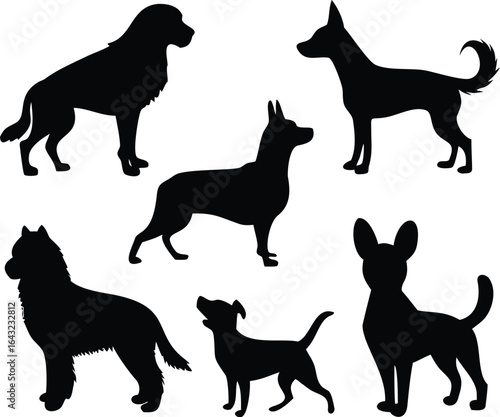silhouette of a Dog