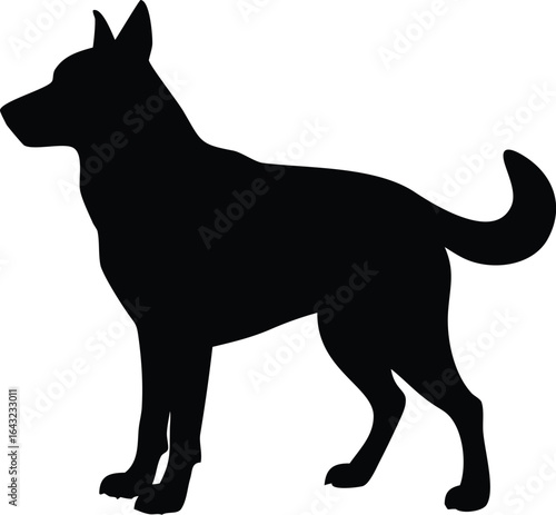 silhouette of a Dog