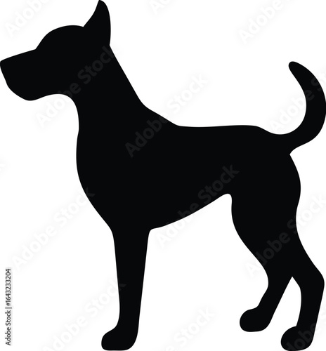 silhouette of a Dog