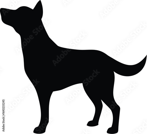 silhouette of a Dog