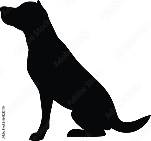 silhouette of a Dog