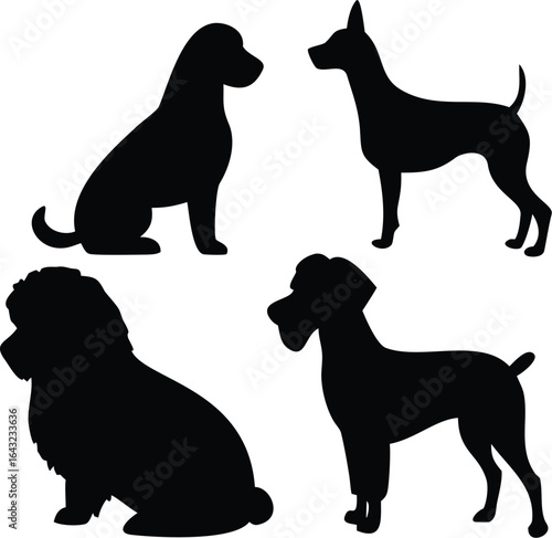 silhouette of a Dog