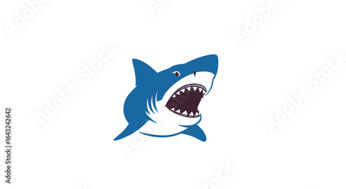 Cartoon cat and shark vector illustration isolated 