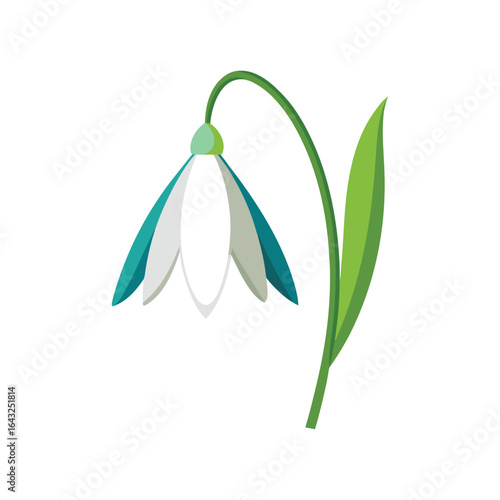 Delicate snowdrop flower with green stem and leaf isolated on white background