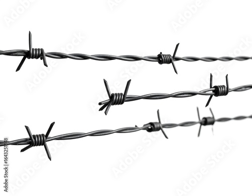 Wallpaper Mural Razor wire fence on white background Torontodigital.ca