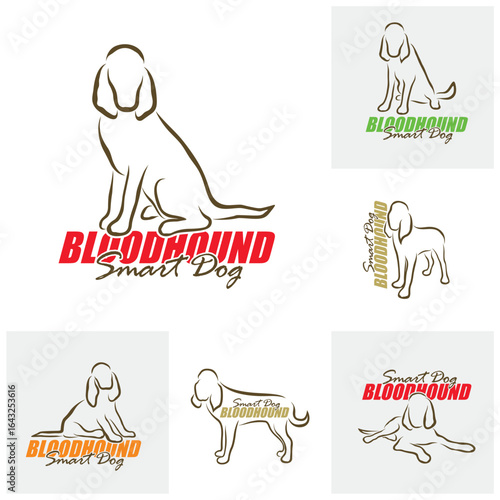 Set of Bloodhound Dog logo design vector. Silhouette Bloodhound Dog Template Illustration