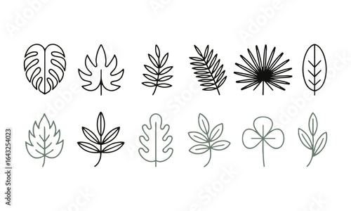 Minimalistic flat vector illustration line-art collection of various botanical leaves, tropical monstera, maple, fern, palm, clover, and simple foliage shapes, easily editable.