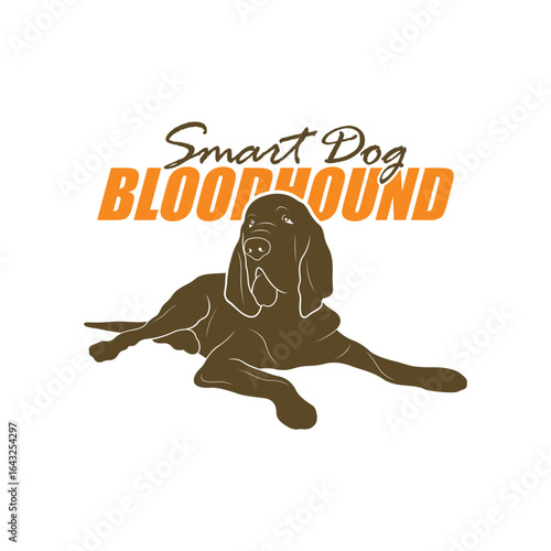 Bloodhound Dog logo design vector. Silhouette Bloodhound Dog Template Illustration