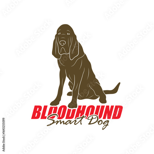 Bloodhound Dog logo design vector. Silhouette Bloodhound Dog Template Illustration