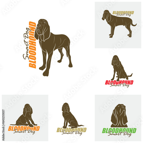 Set of Bloodhound Dog logo design vector. Silhouette Bloodhound Dog Template Illustration