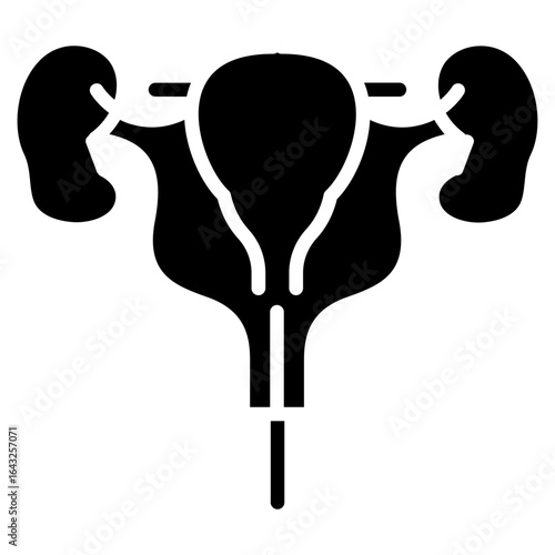 Bladder icon vector image. Can be used for Human Anatomy.
